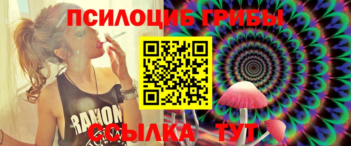 Псилоцибиновые грибы Cubensis Шелехов
