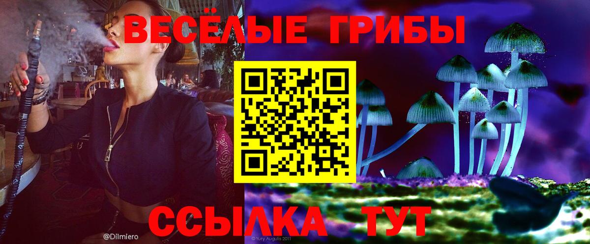 Шелехов  Галлюциногенные грибы GOLDEN TEACHER  Псилоцибиновые грибы мухоморы  Вход с VPN 